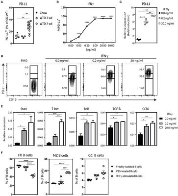 IFNγ-Stimulated B Cells Inhibit T Follicular Helper Cells and Protect Against Atherosclerosis